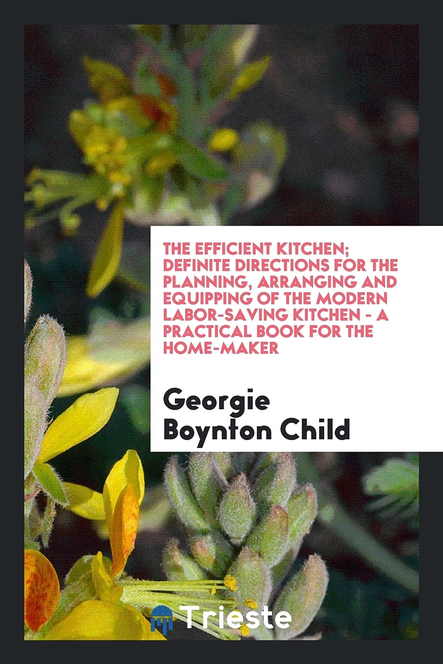 The Efficient Kitchen; Definite Directions for the Planning, Arranging and Equipping of the Modern Labor-Saving Kitchen - A Practical Book for the Home-Maker Politics & History
