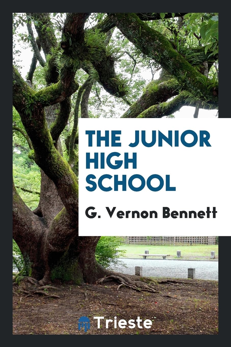 Product Image: The Junior High School