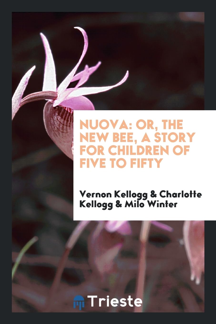 Nuova: Or, the New Bee, a Story for Children of Five to Fifty Books