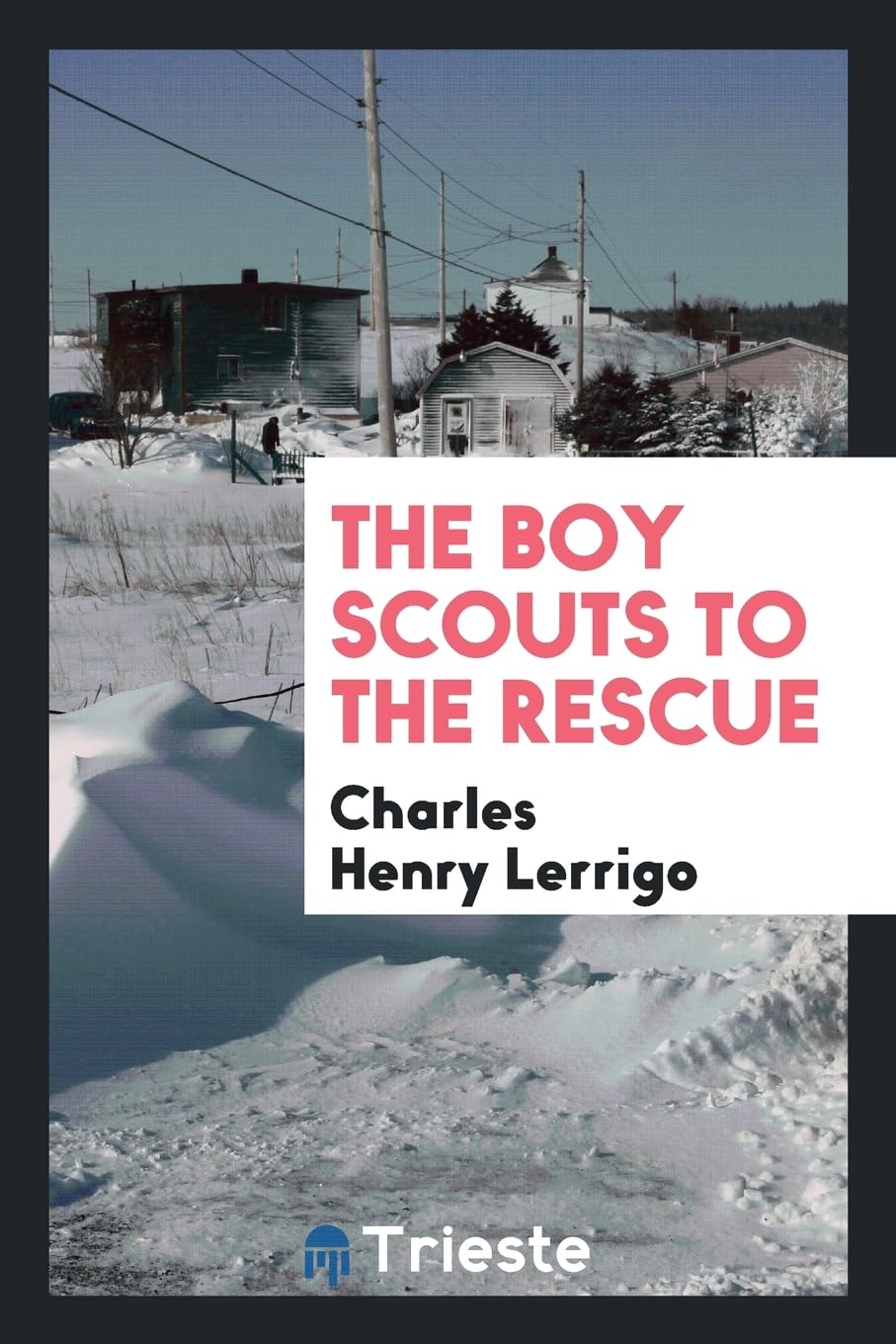 The Boy Scouts to the Rescue Politics & History