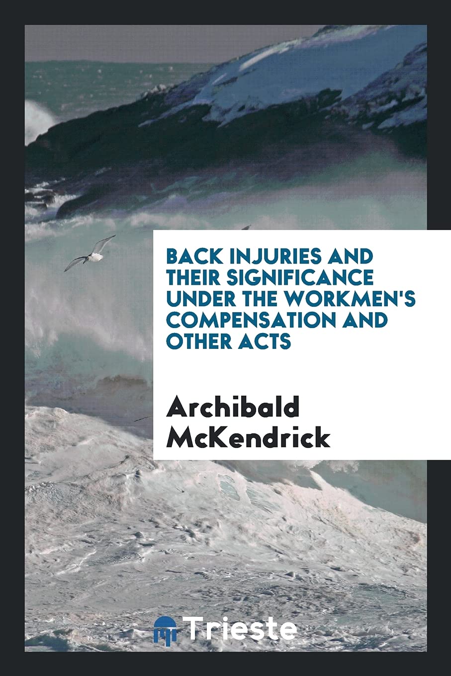 Back Injuries and Their Significance Under the Workmen's Compensation and Other Acts Politics & History