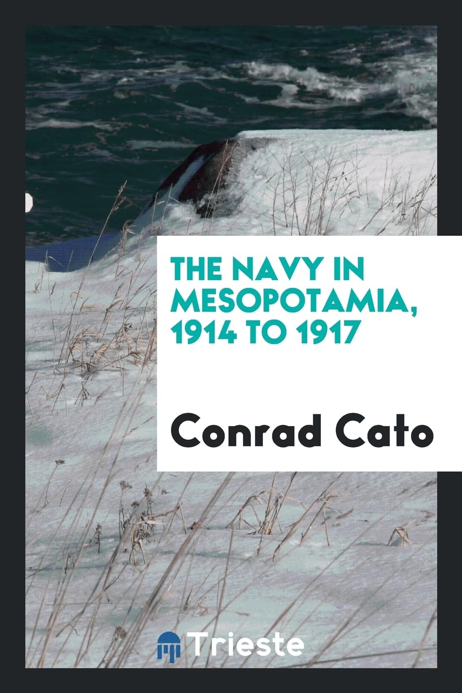 The Navy in Mesopotamia, 1914 to 1917 Politics & History