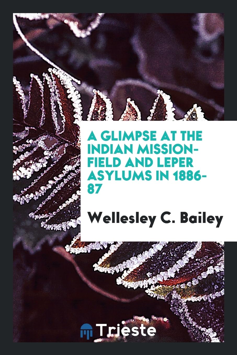A Glimpse at the Indian Mission-Field and Leper Asylums in 1886-87 Politics & History