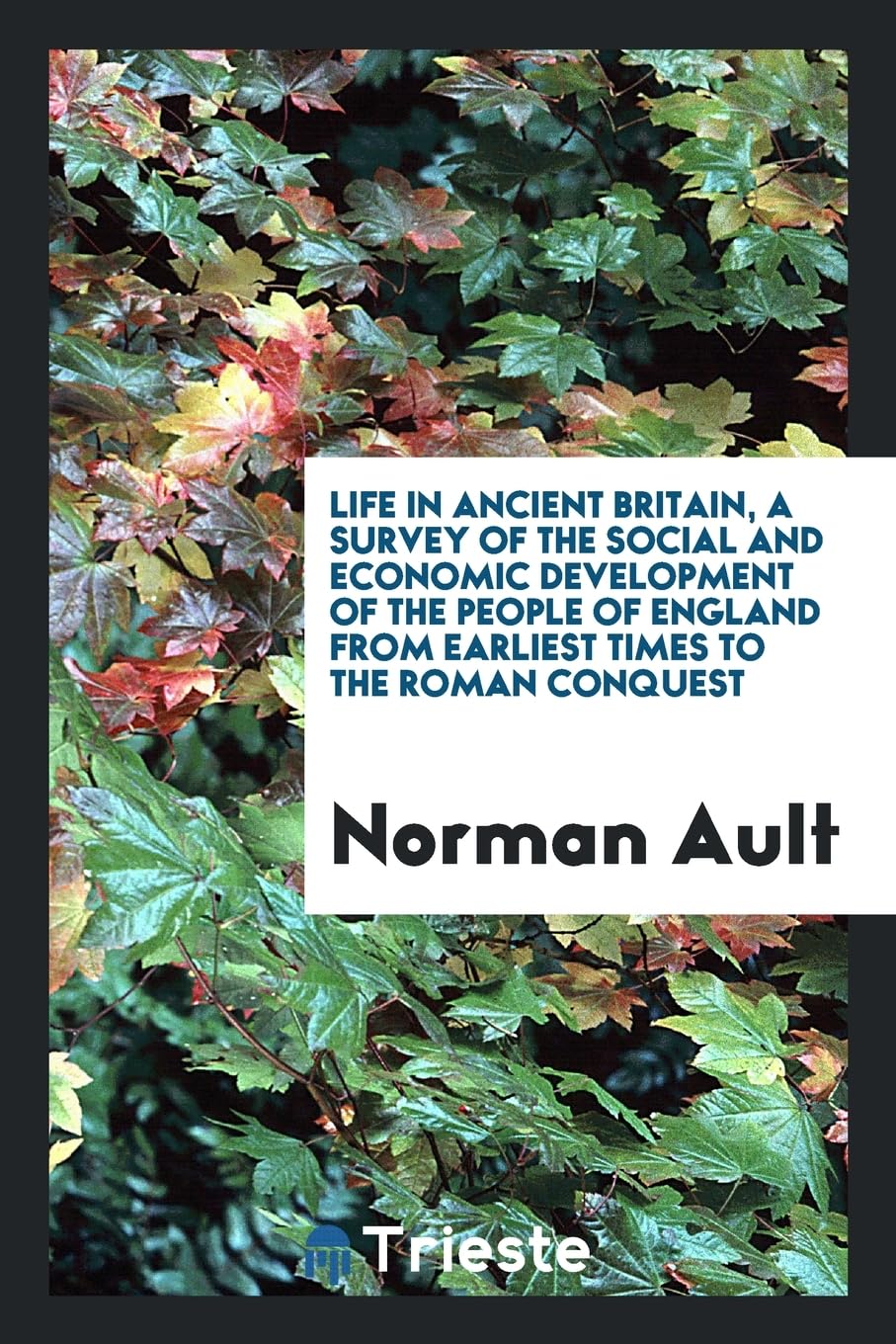 Life in Ancient Britain, a Survey of the Social and Economic Development of the People of England from Earliest Times to the Roman Conquest Politics & History