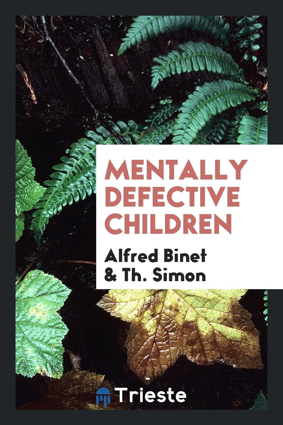 Product Image: Mentally Defective Children
