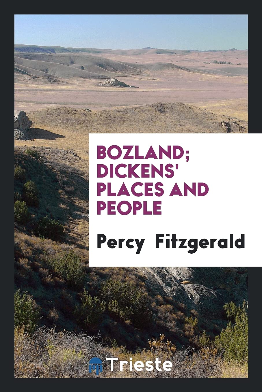 Bozland; Dickens' Places and People Politics & History