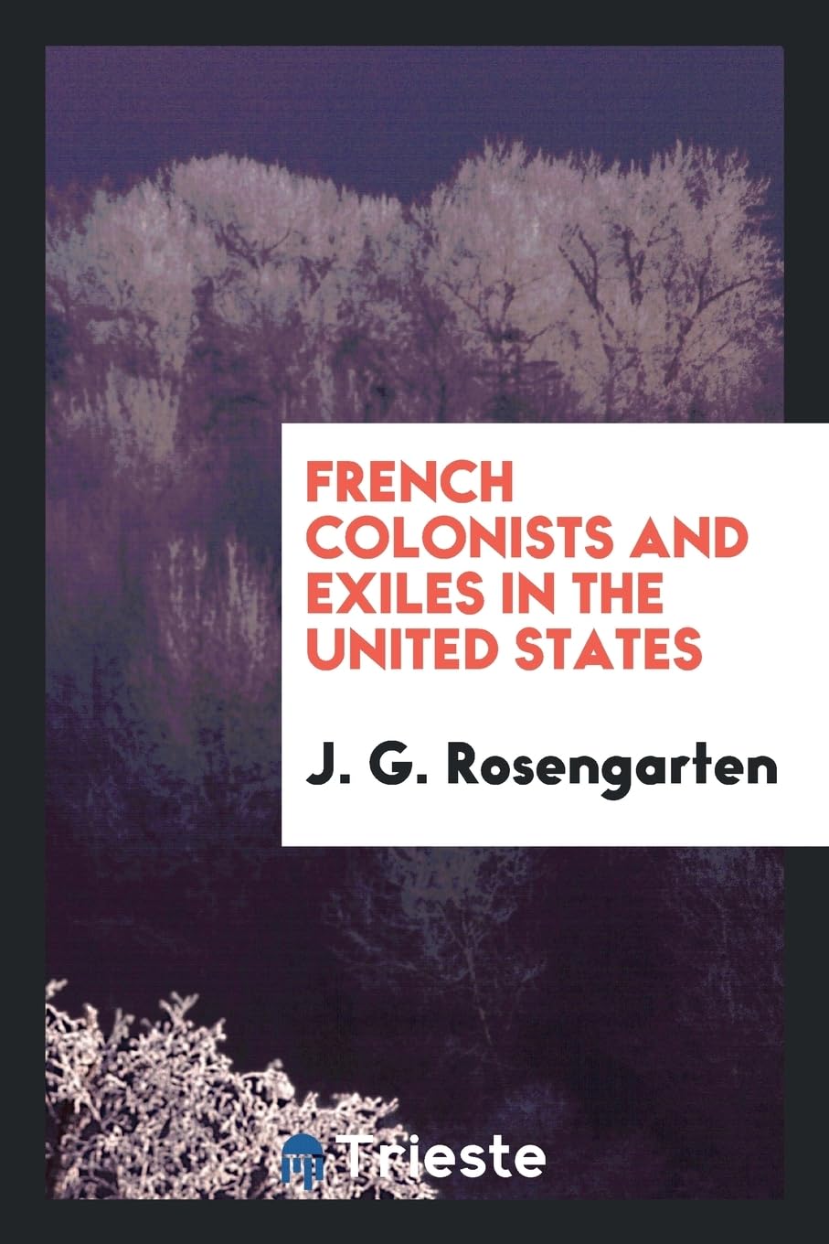 French Colonists and Exiles in the United States Social Sciences
