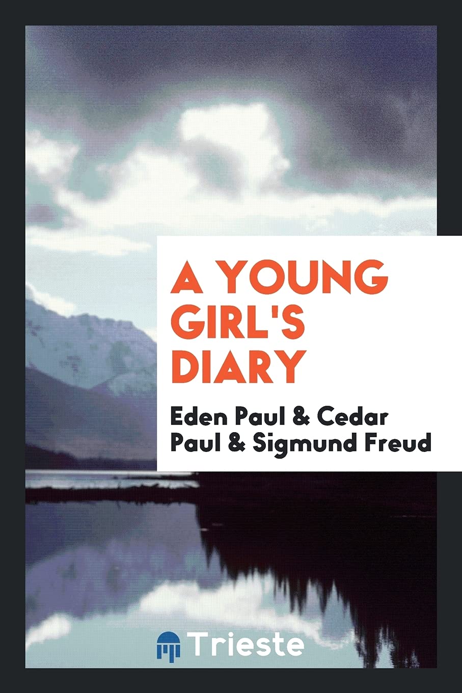 Product Image: A Young Girl's Diary