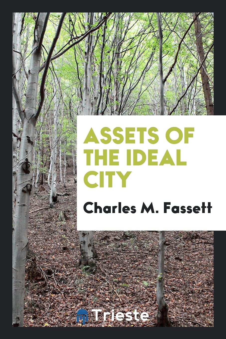 Assets of the Ideal City Politics & History