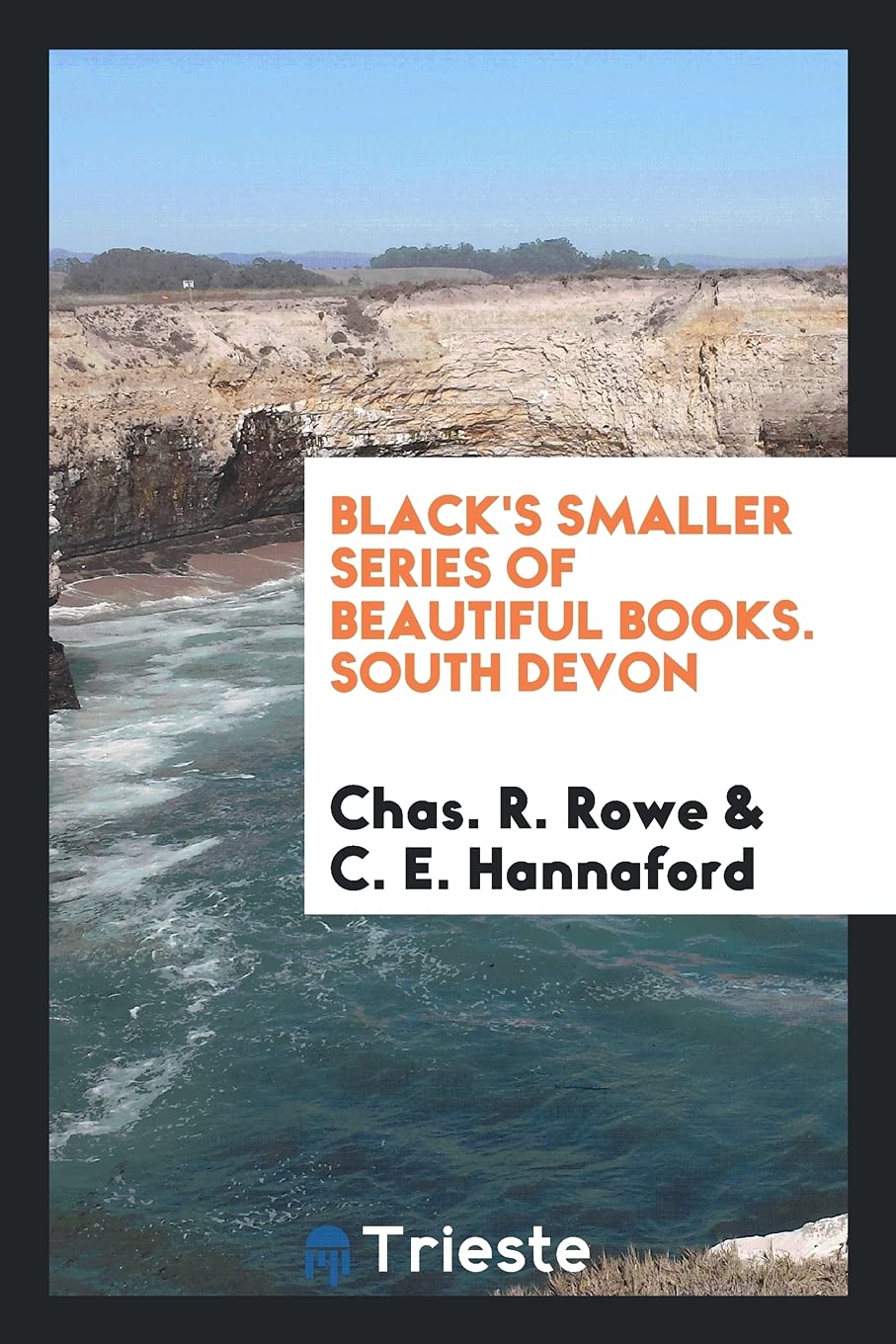 Black's Smaller Series of Beautiful Books. South Devon Books