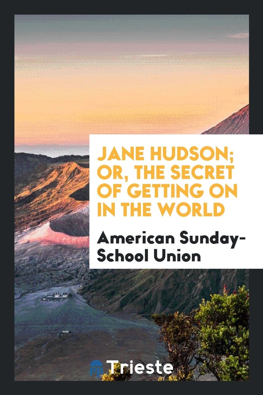 Jane Hudson; Or, the Secret of Getting on in the World Politics & History