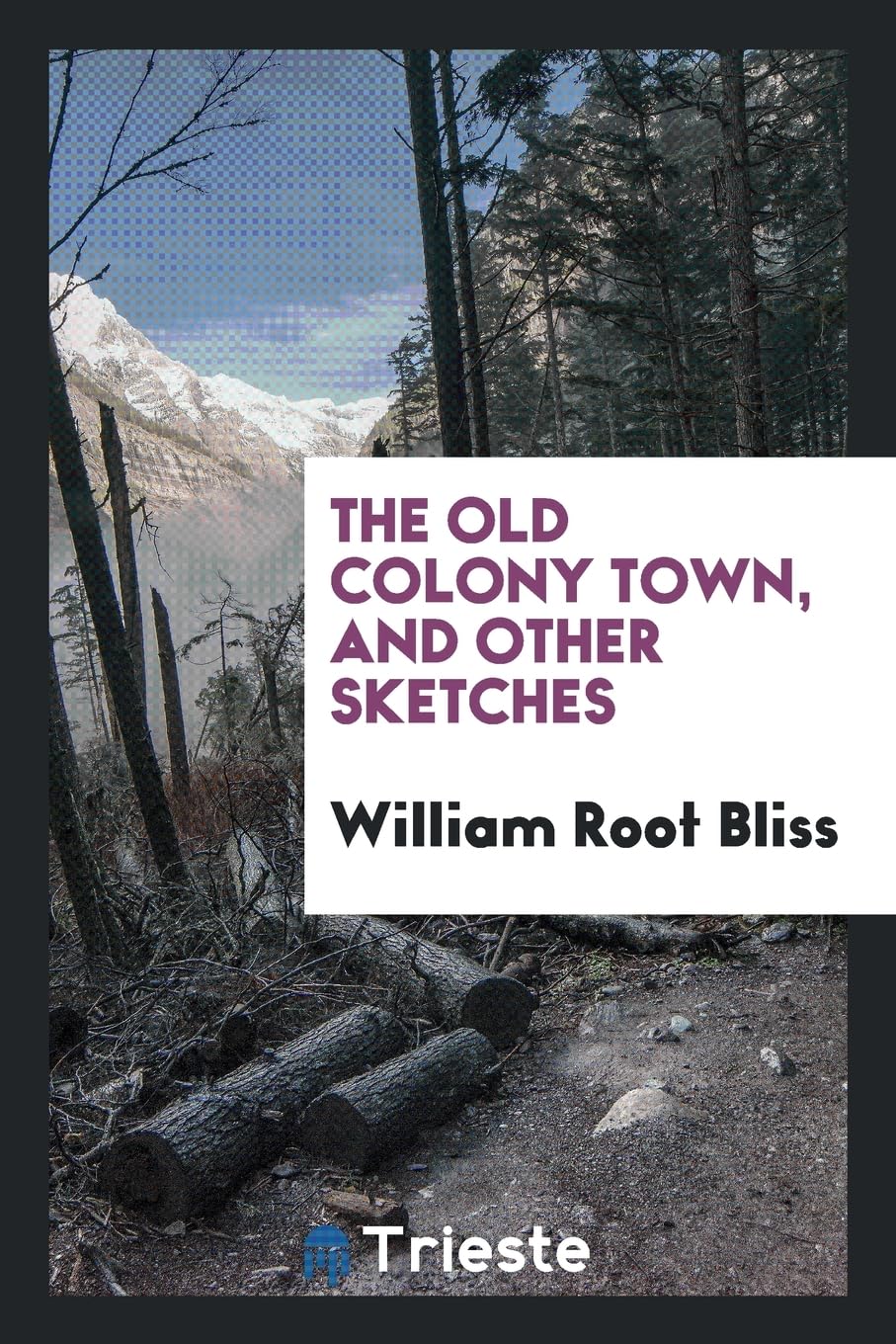 The Old Colony Town, and Other Sketches Politics & History