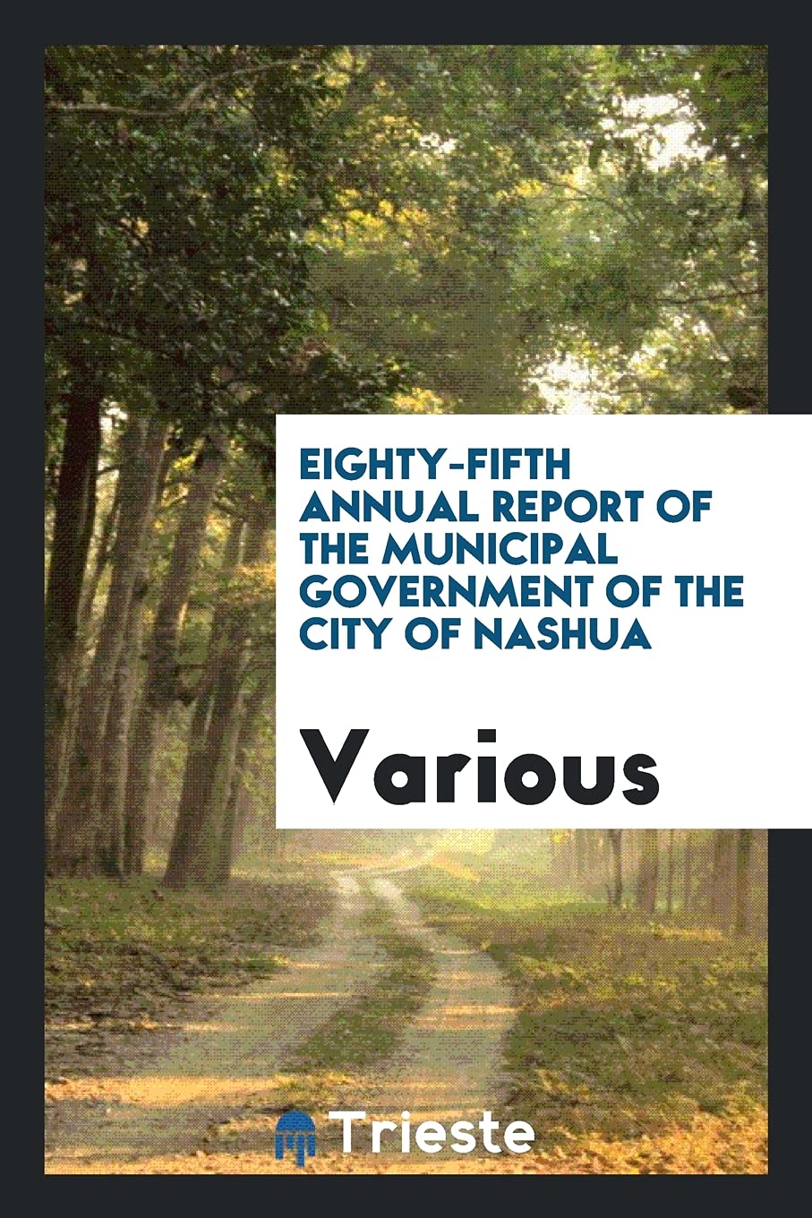 Eighty-Fifth Annual Report of the Municipal Government of the City of Nashua Books
