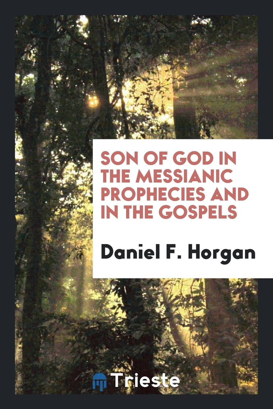 Son of God in the Messianic Prophecies and in the Gospels Books