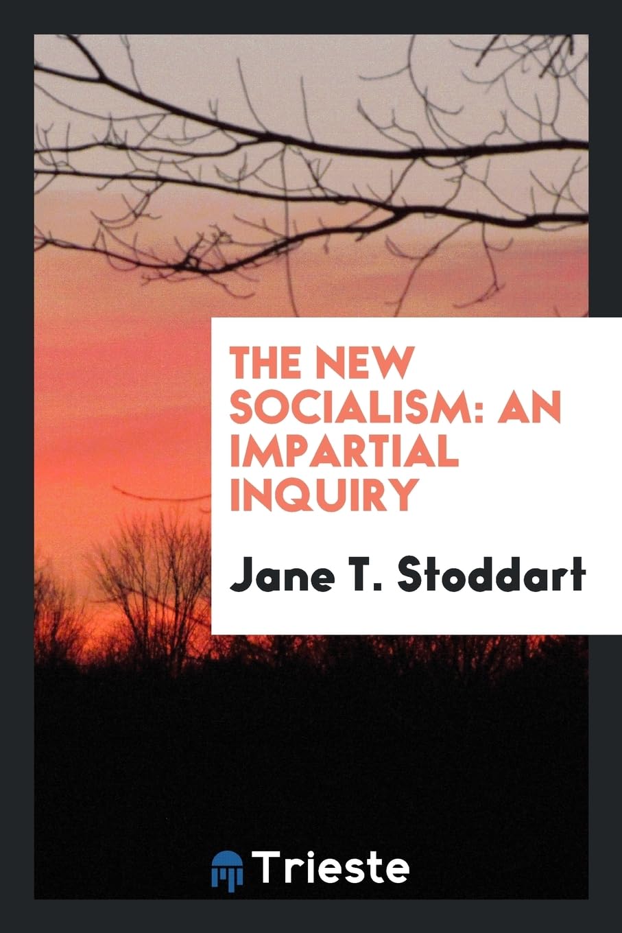 The New Socialism: An Impartial Inquiry Books