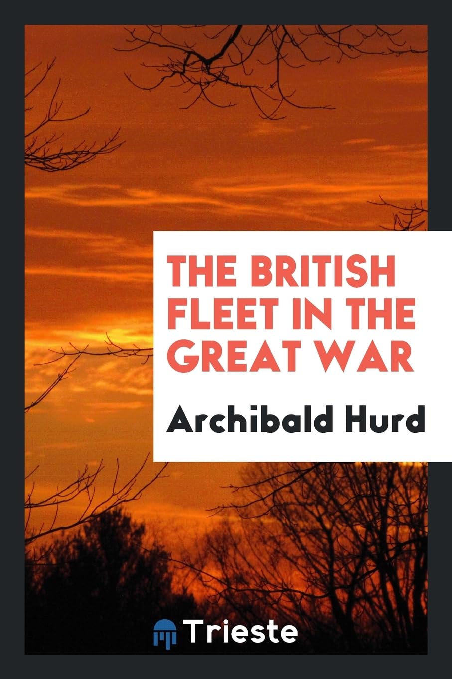 The British Fleet in the Great War Contemporary literature