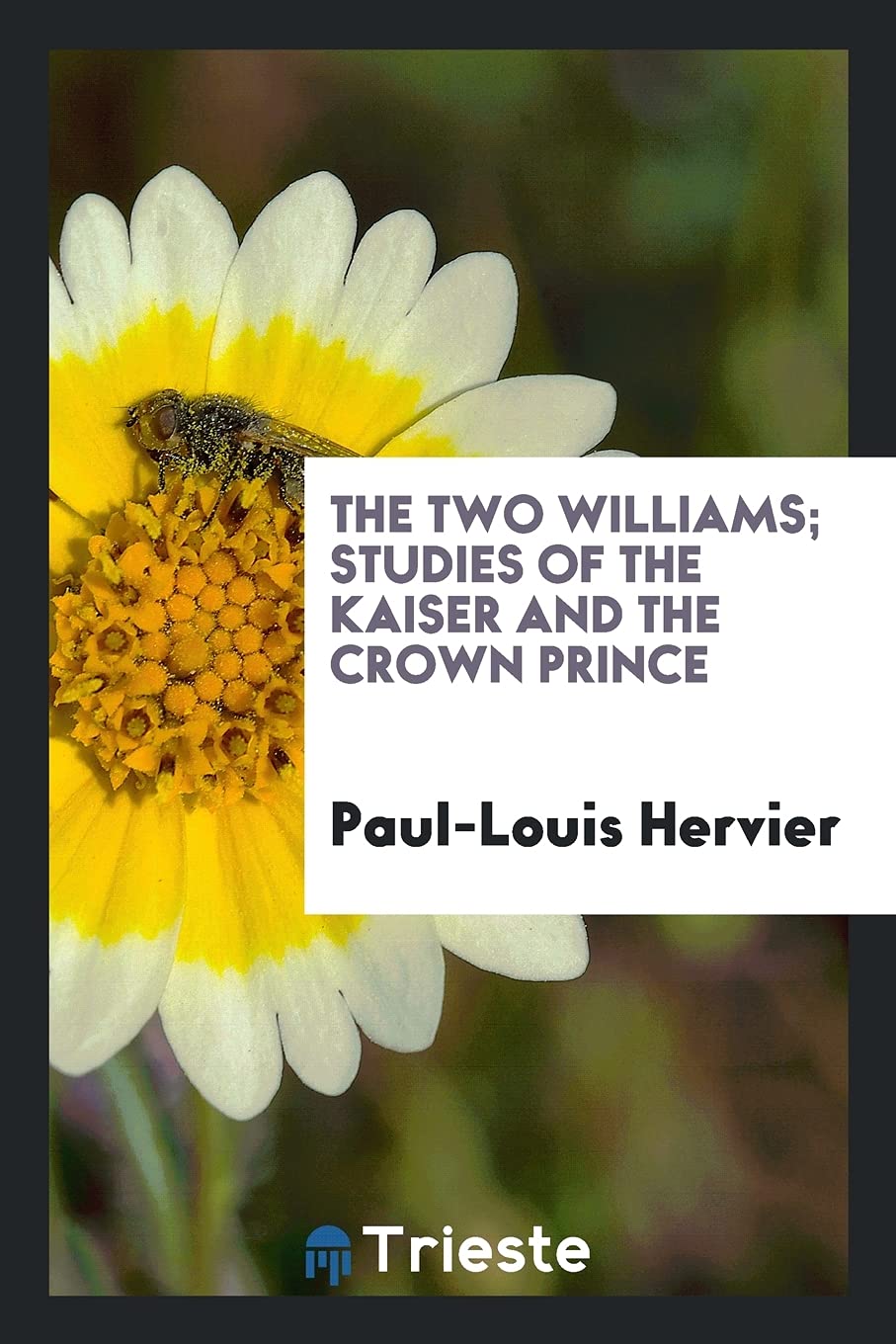 The Two Williams; Studies of the Kaiser and the Crown Prince Politics & History