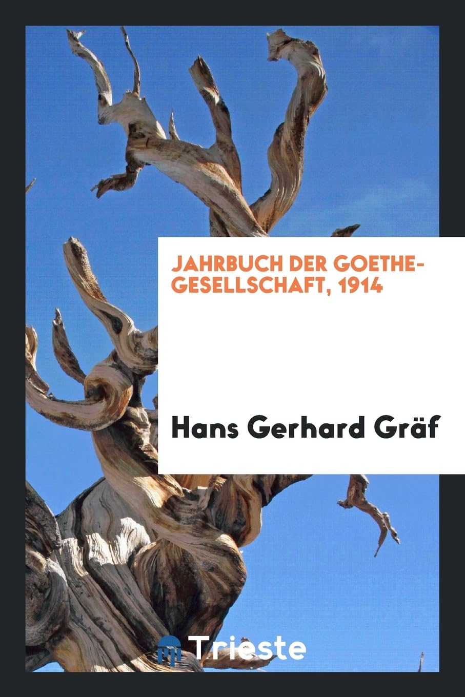 Jahrbuch Der Goethe-Gesellschaft, 1914 Business, Finance & Career