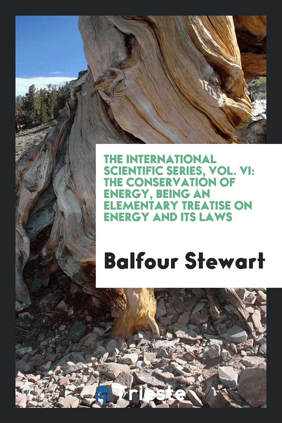 The International Scientific Series, Vol. VI: The Conservation of Energy, Being an Elementary Treatise on Energy and Its Laws Politics & History