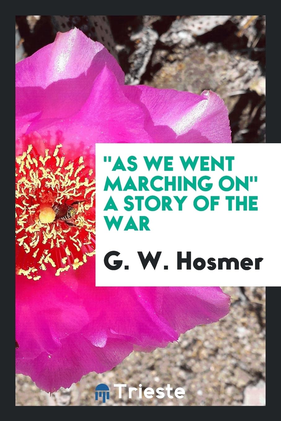 As We Went Marching on a Story of the War Books