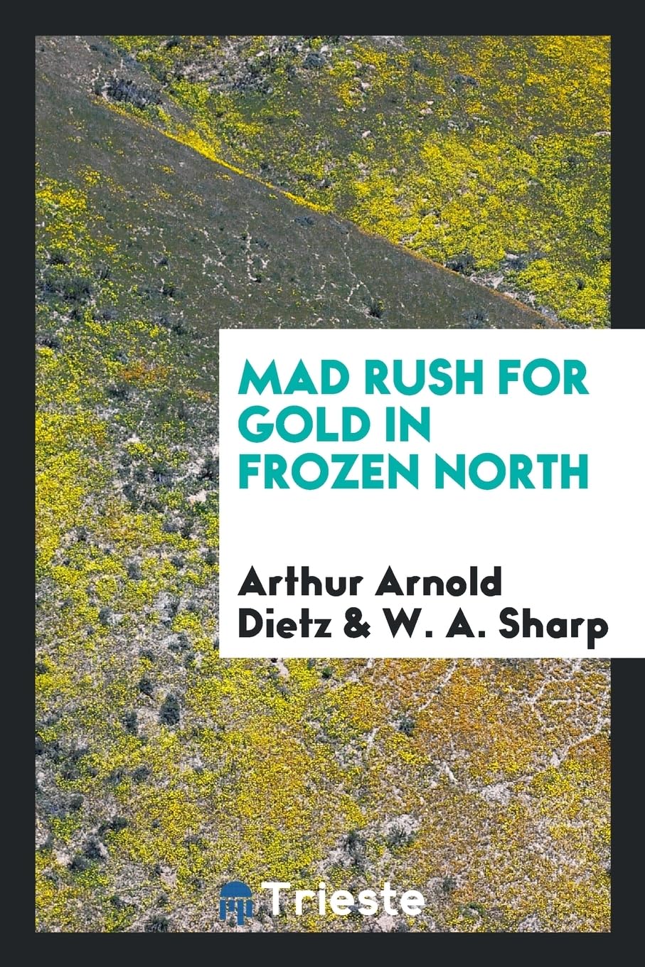 Mad Rush for Gold in Frozen North Social Sciences