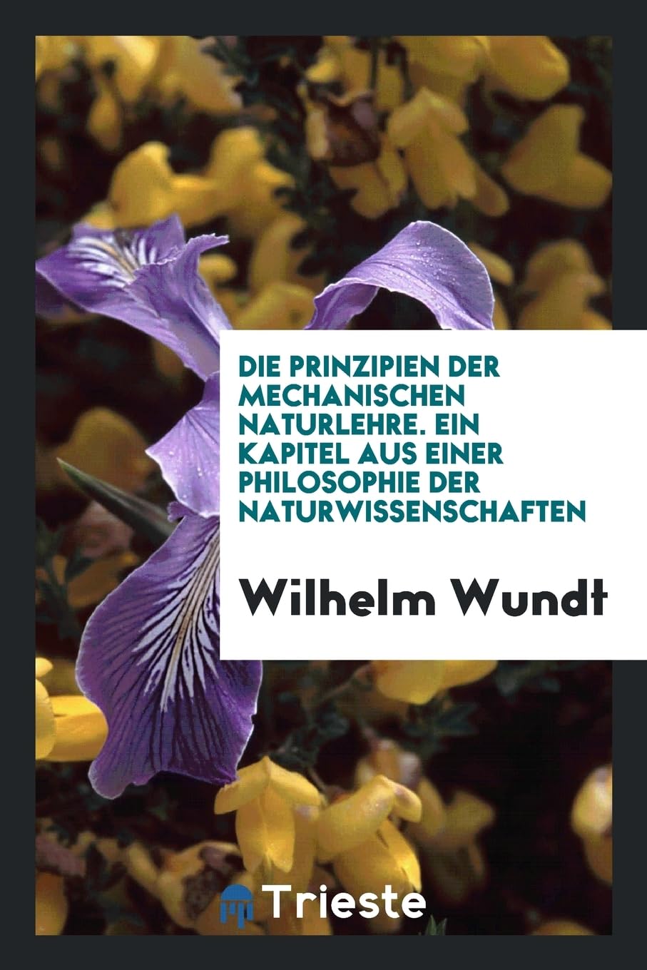 Die Prinzipien Der Mechanischen Naturlehre. Ein Kapitel Aus Einer Philosophie Der Naturwissenschaften Philosophy