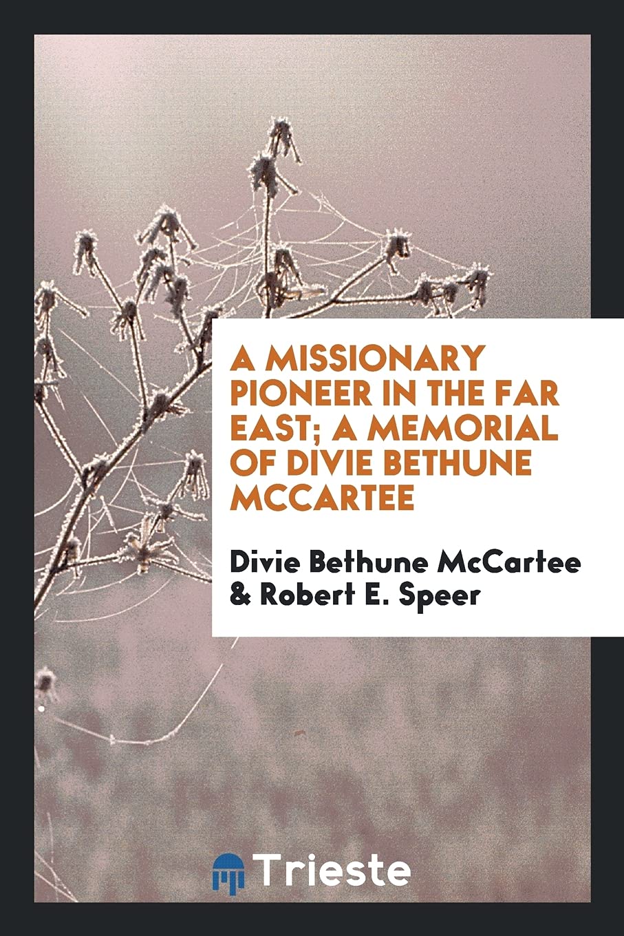 A Missionary Pioneer in the Far East; A Memorial of Divie Bethune McCartee Politics & History