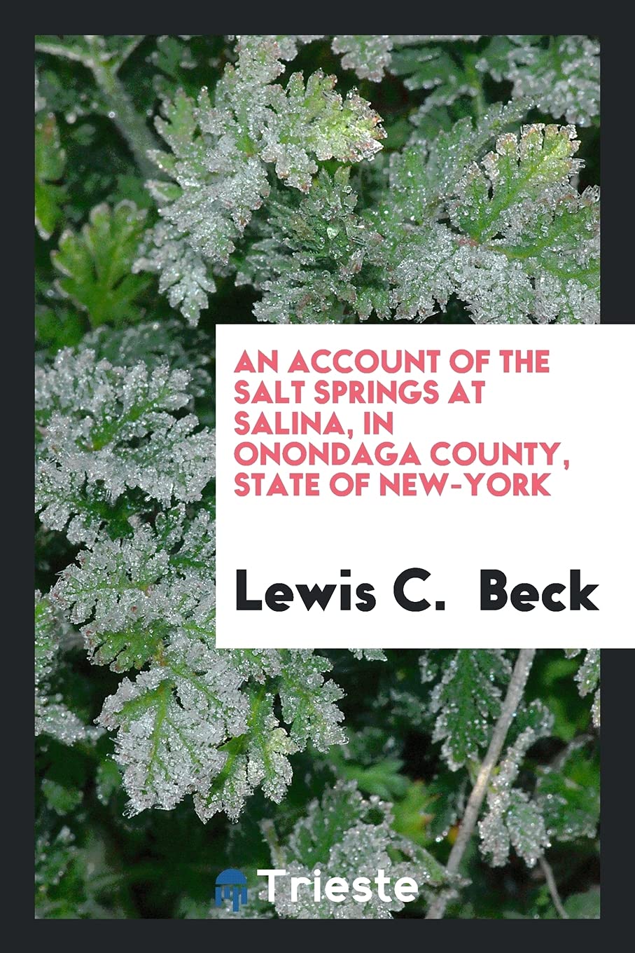 An Account of the Salt Springs at Salina, in Onondaga County, State of New-York Books