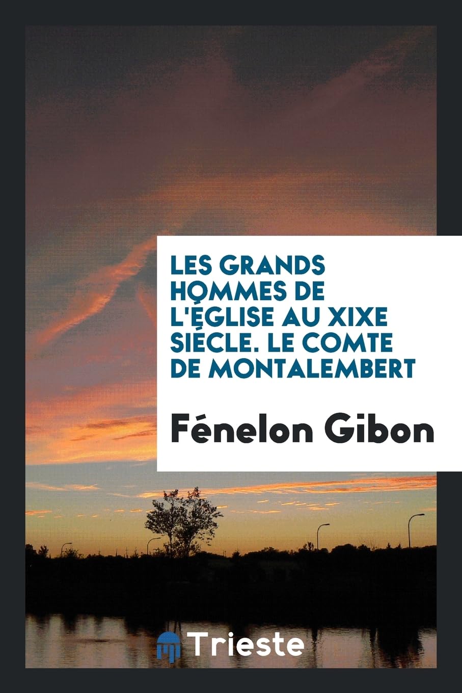 Les Grands Hommes de l' glise Au Xixe Si cle. Le Comte de Montalembert Books