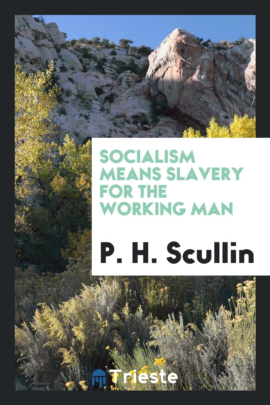 Socialism Means Slavery for the Working Man Politics & History