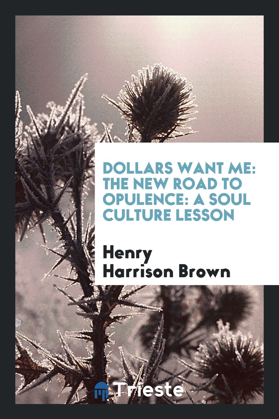 Dollars Want Me: The New Road to Opulence: A Soul Culture Lesson... Business, Finance & Career