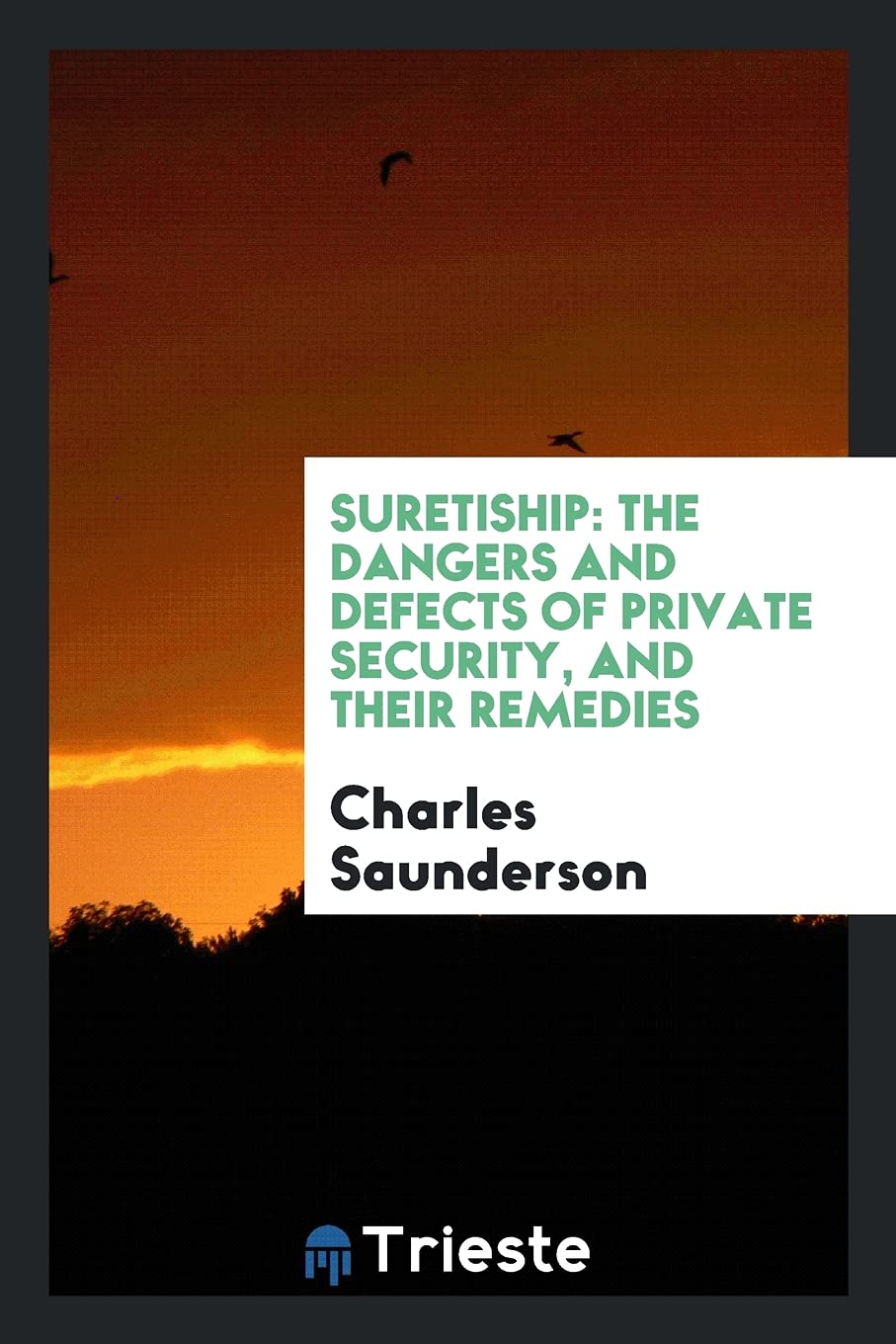 Suretiship: The Dangers and Defects of Private Security, and Their Remedies Business, Finance & Career