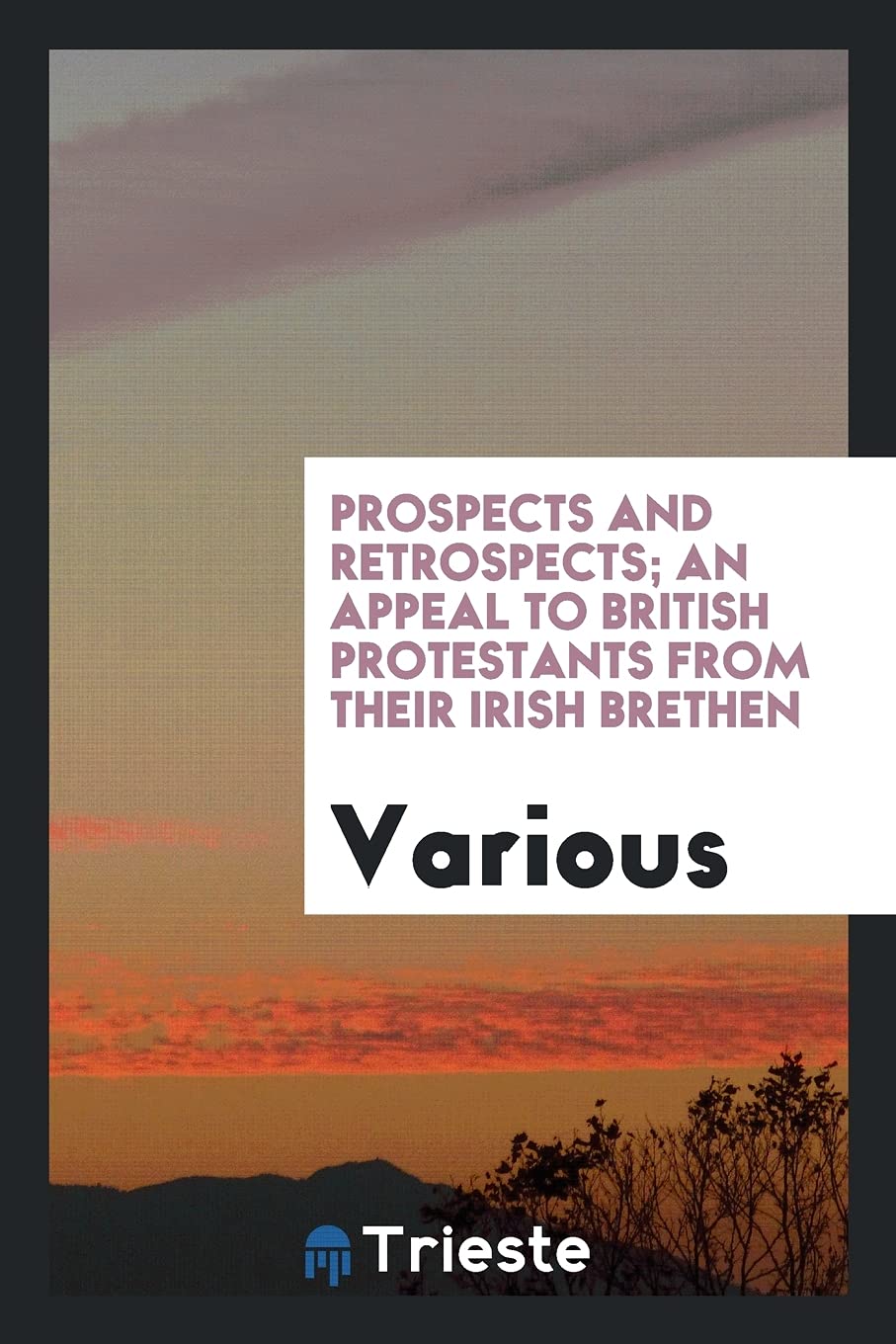 Prospects and Retrospects; An Appeal to British Protestants from Their Irish Brethen Books