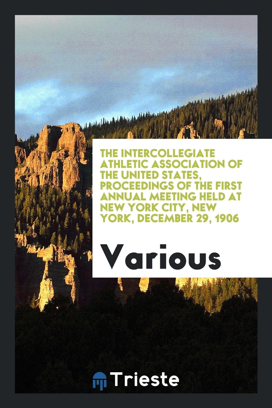 The Intercollegiate Athletic Association of the United States, Proceedings of the First Annual Meeting Held at New York City, New York, December 29, 1906 Books