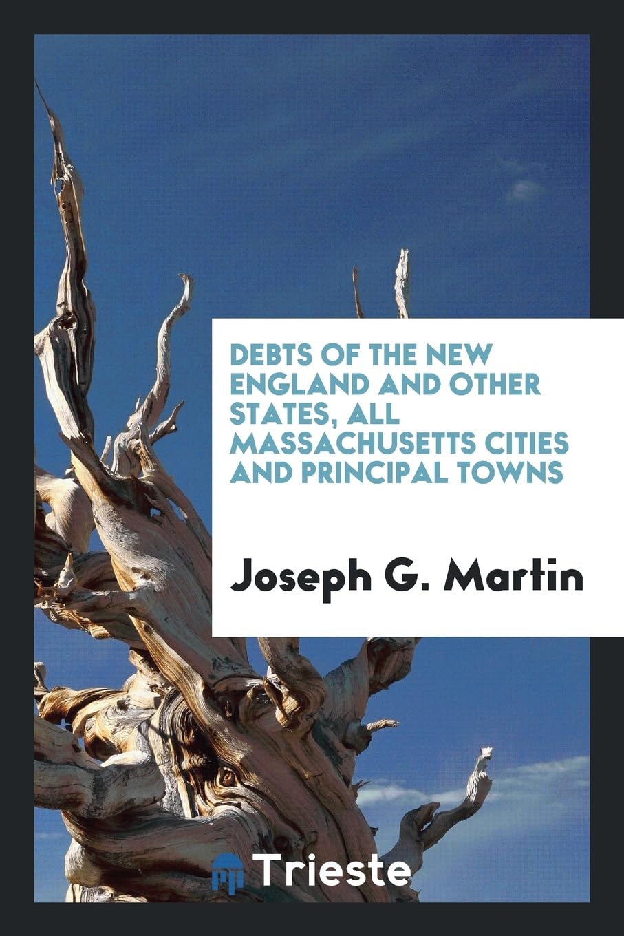 Debts of the New England and Other States, All Massachusetts Cities and Principal Towns Books