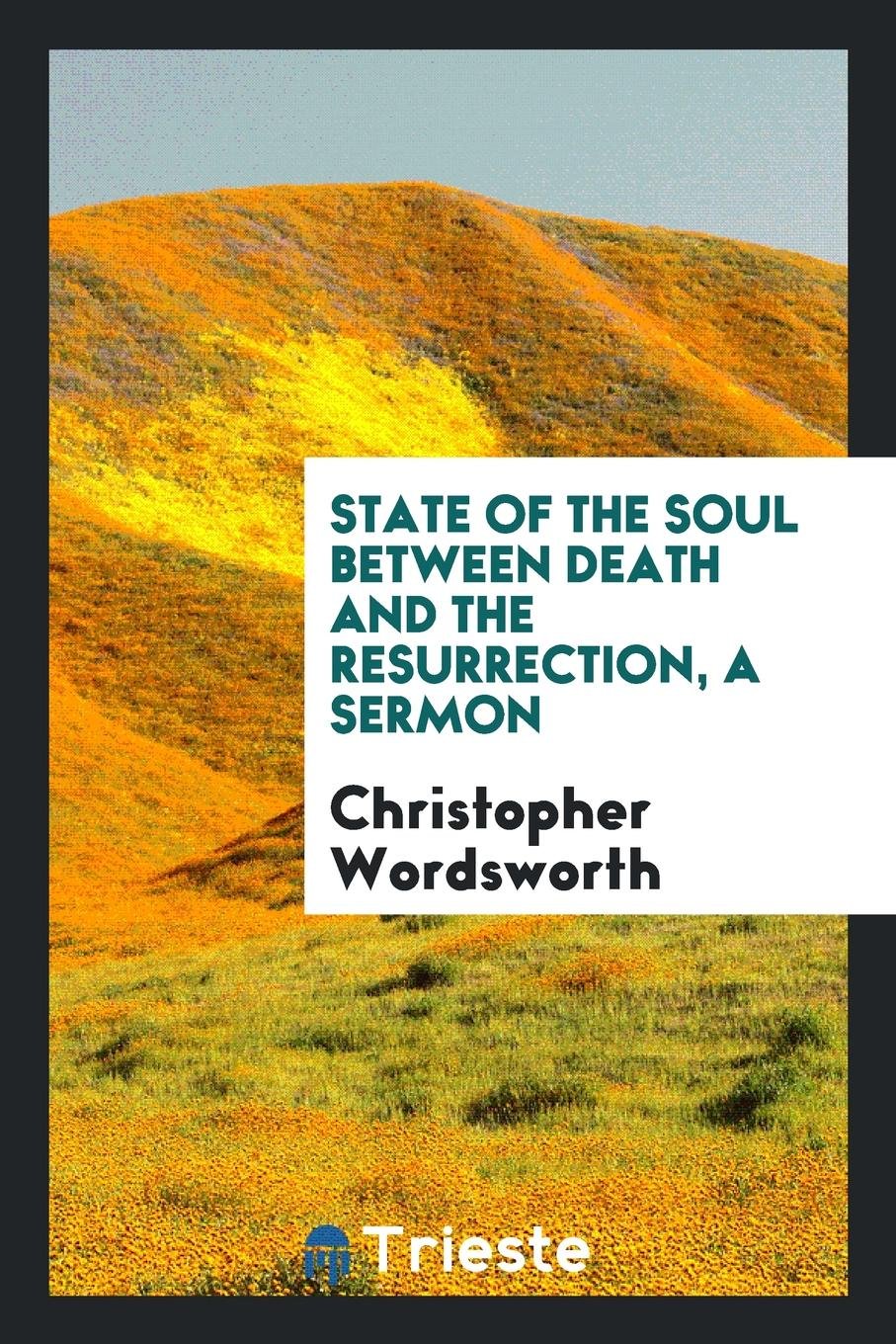 State of the Soul Between Death and the Resurrection, a Sermon Politics & History