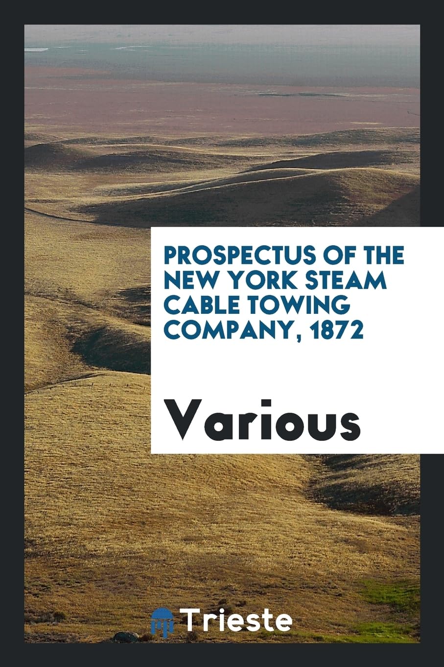 Prospectus of the New York Steam Cable Towing Company, 1872 Books