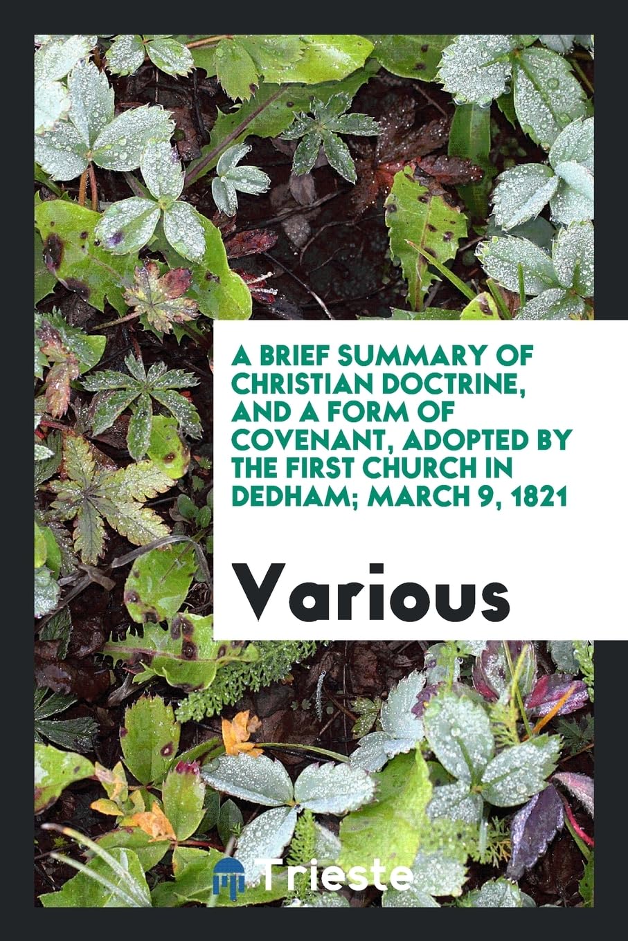 A Brief Summary of Christian Doctrine, and a Form of Covenant, Adopted by the First Church in Dedham; March 9, 1821 Books