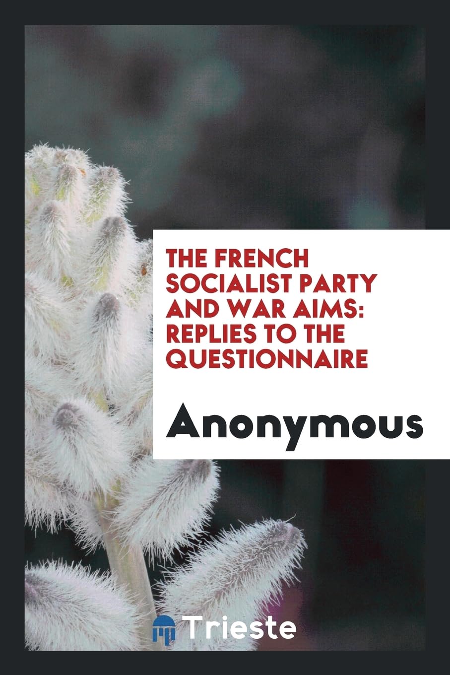The French Socialist Party and War Aims: Replies to the Questionnaire Politics & History