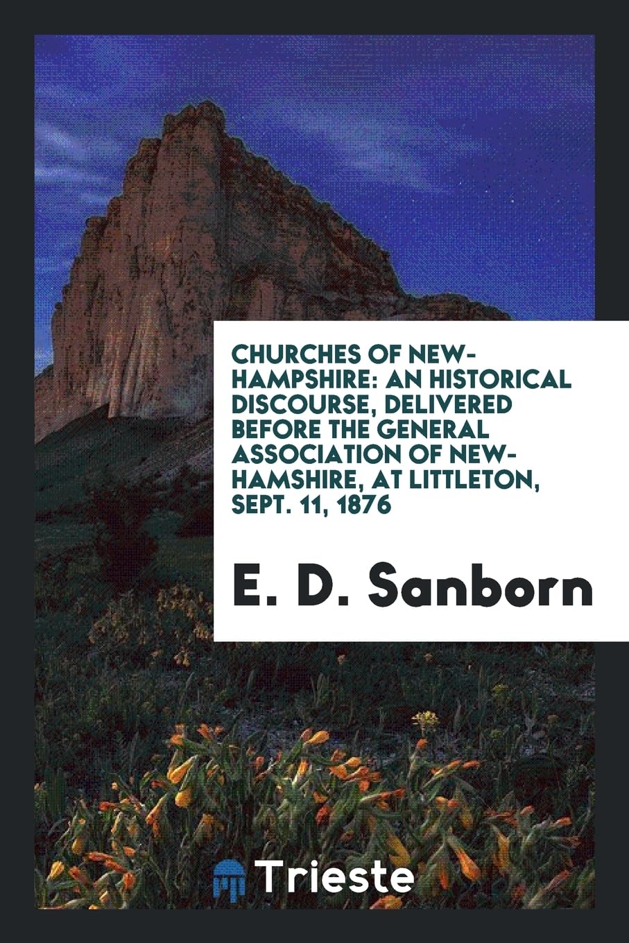 Churches of New-Hampshire: An Historical Discourse, Delivered Before the General Association of New-Hamshire, at Littleton, Sept. 11, 1876 Reference Books