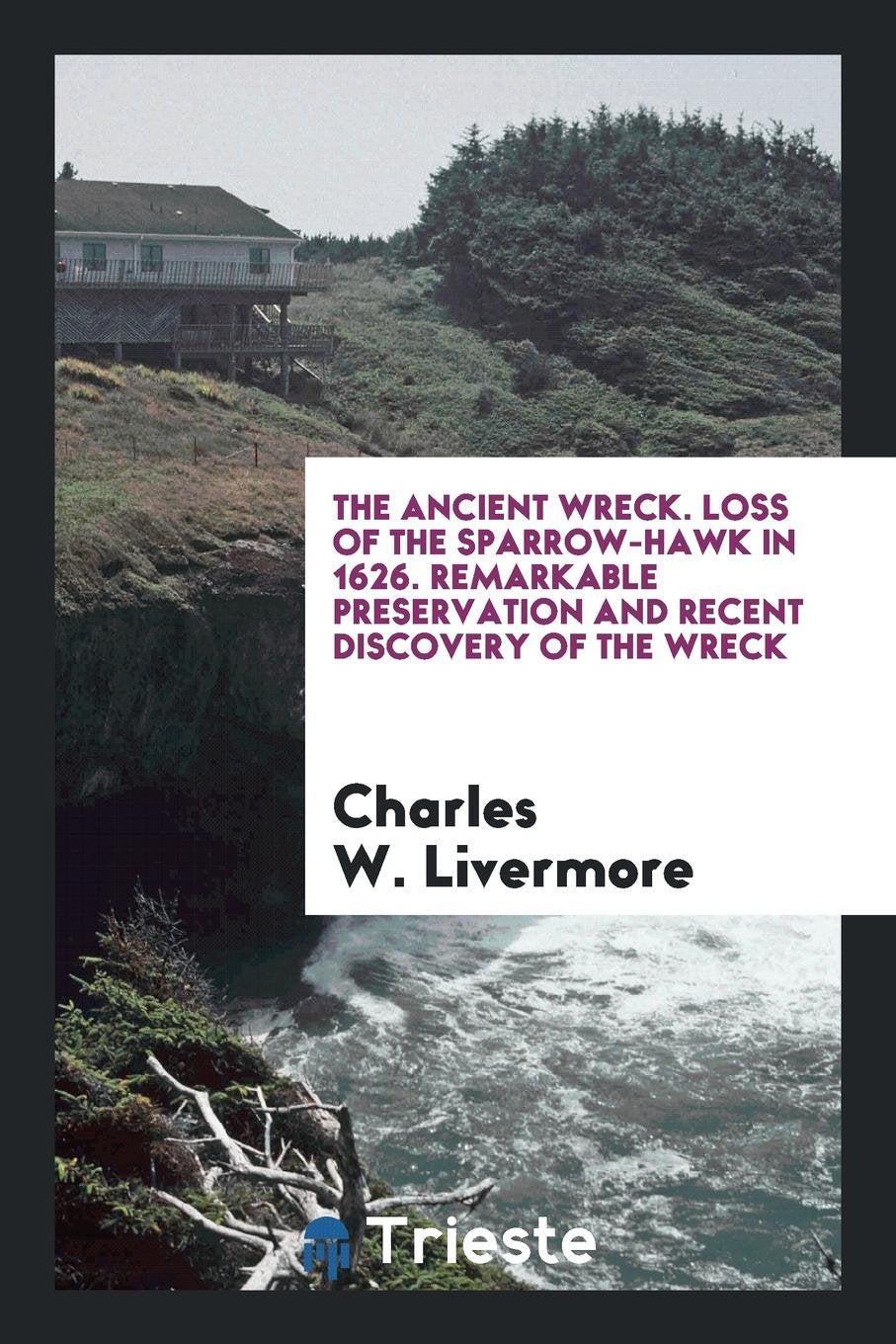 Product Image: The Ancient Wreck