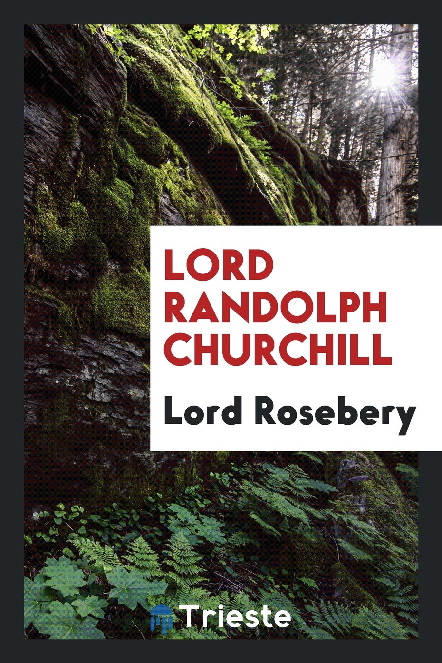 Lord Randolph Churchill Social Sciences