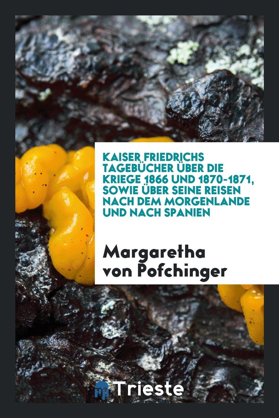 Kaiser Friedrichs Tageb cher ber Die Kriege 1866 Und 1870-1871, Sowie ber Seine Reisen Nach Dem Morgenlande Und Nach Spanien Memories