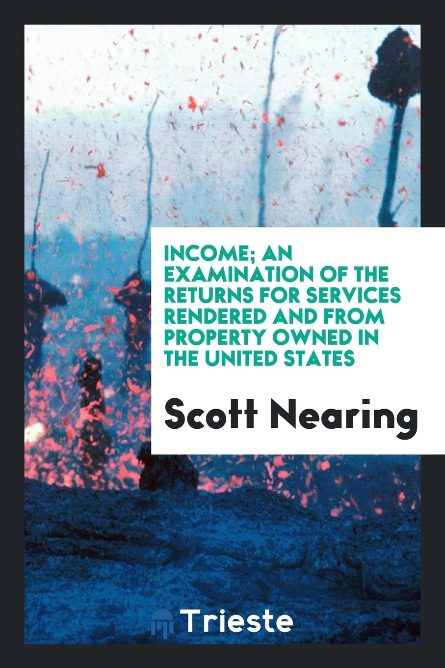 Income; An Examination of the Returns for Services Rendered and from Property Owned in the United States Politics & History