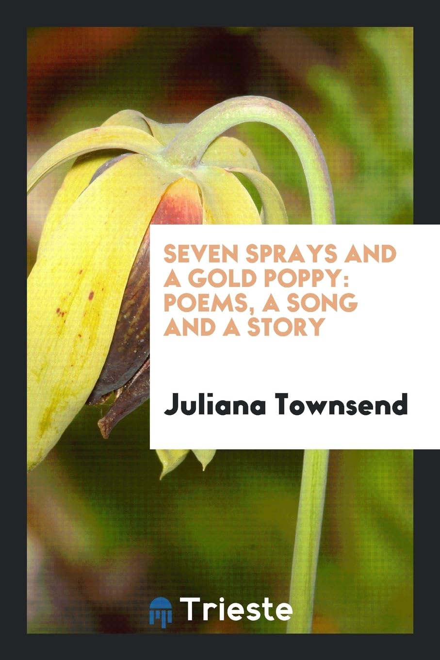Seven Sprays and a Gold Poppy: Poems, a Song and a Story Politics & History