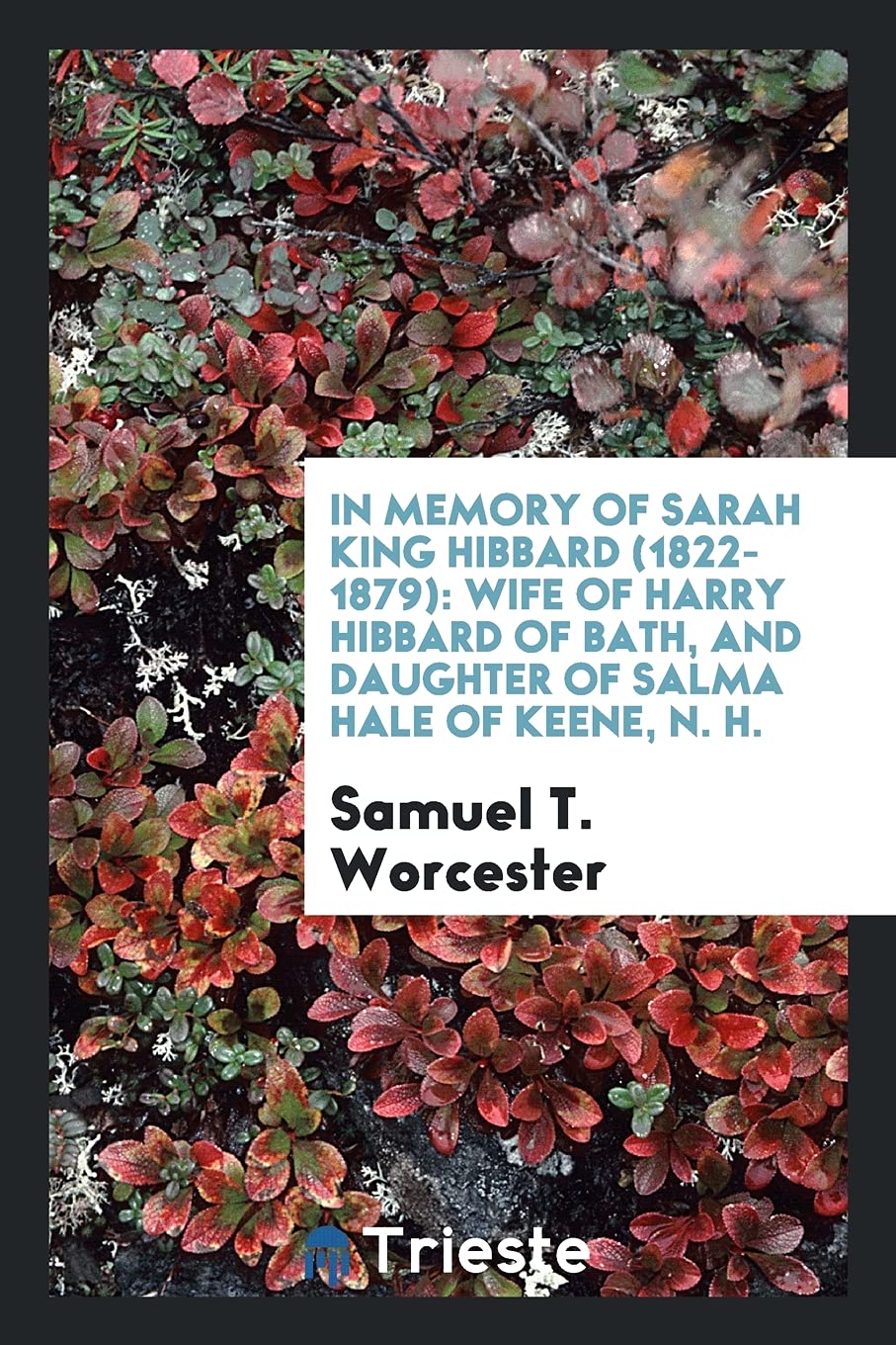 In Memory of Sarah King Hibbard (1822-1879): Wife of Harry Hibbard of Bath, and Daughter of Salma Hale of Keene, N. H. Books