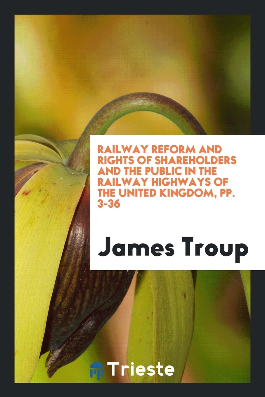 Railway Reform and Rights of Shareholders and the Public in the Railway Highways of the United Kingdom, Pp. 3-36 Reference Books