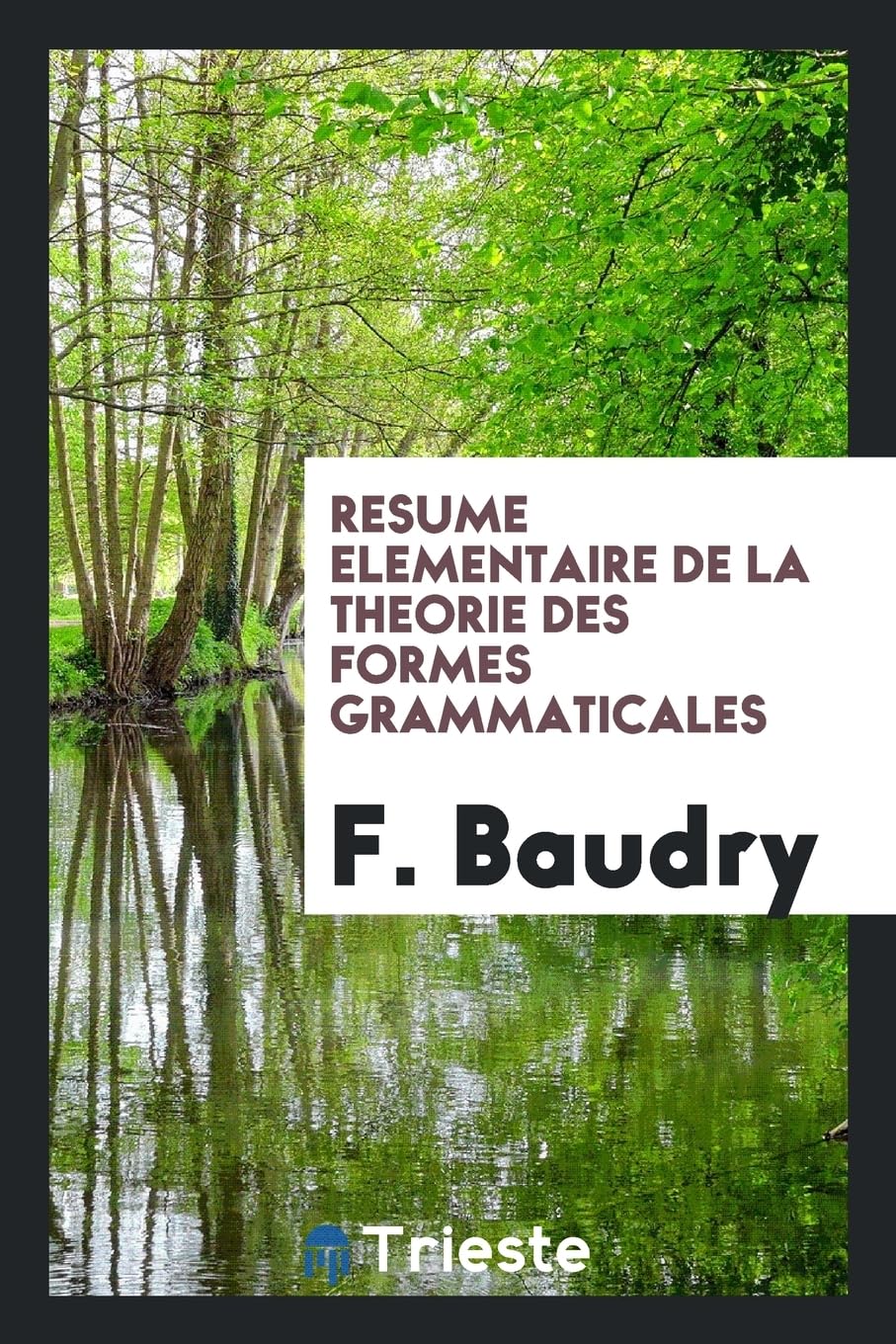 Resume Elementaire de la Theorie Des Formes Grammaticales Books