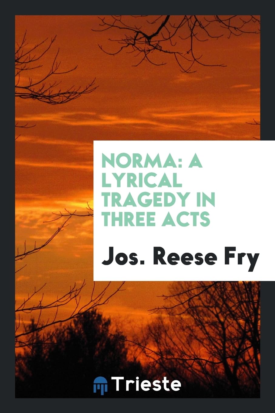 Norma: A Lyrical Tragedy in Three Acts Poetry