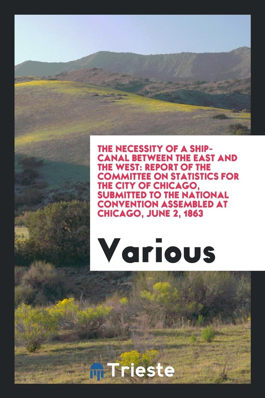 The Necessity of a Ship-Canal Between the East and the West: Report of the Committee on Statistics for the City of Chicago, Submitted to the National Convention Assembled at Chicago, June 2, 1863 Social Sciences